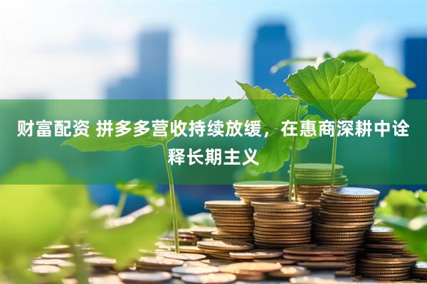 财富配资 拼多多营收持续放缓，在惠商深耕中诠释长期主义
