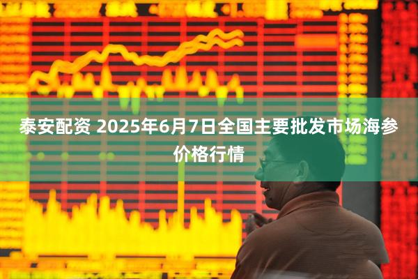 泰安配资 2025年6月7日全国主要批发市场海参价格行情