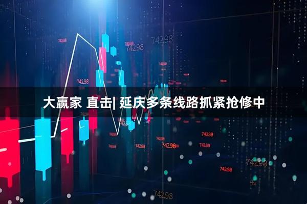 大赢家 直击| 延庆多条线路抓紧抢修中