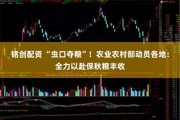 铭创配资 “虫口夺粮”！农业农村部动员各地：全力以赴保秋粮丰收