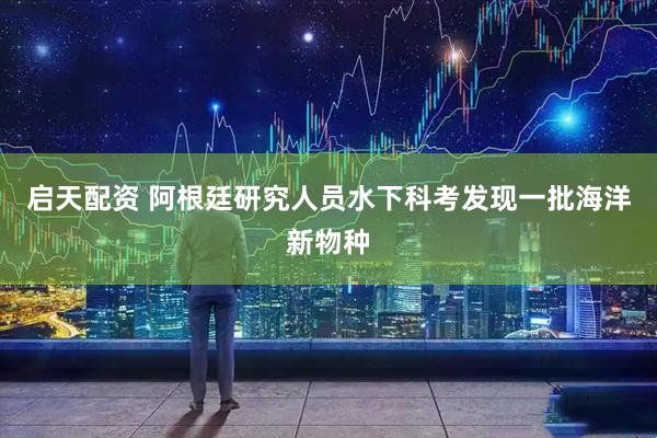 启天配资 阿根廷研究人员水下科考发现一批海洋新物种
